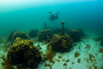 SDI Open Water Scuba Diver Course