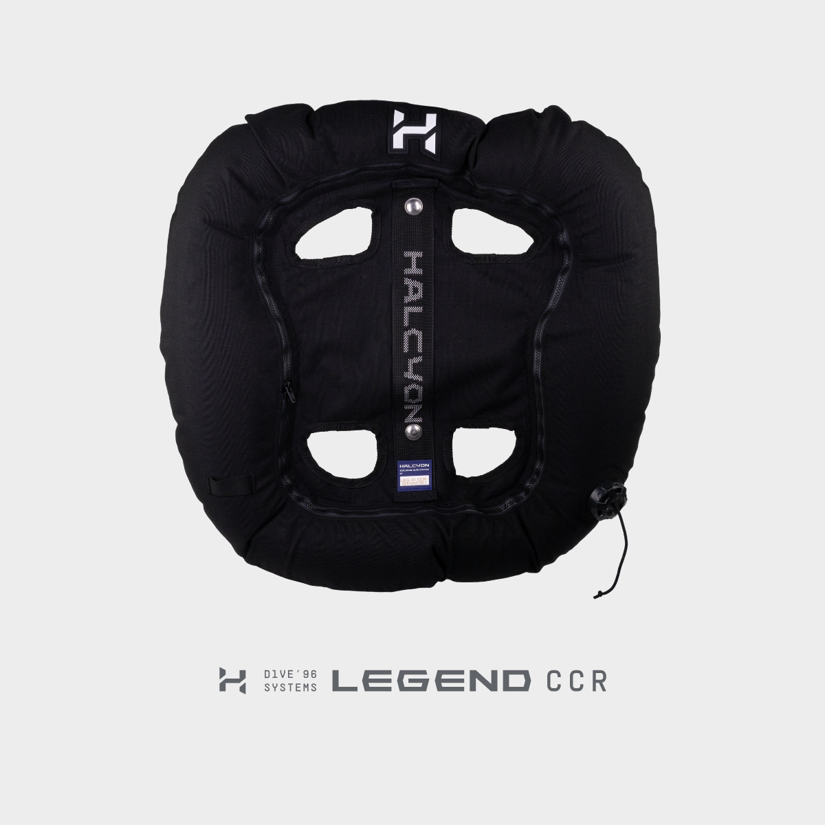 Legend 40-lb CCR Custom Wing, CE Approved