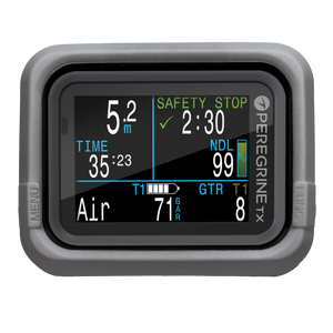 Peregrine Protective Case Grey