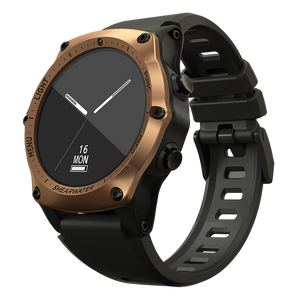 Teric Journeys Edition Bronze